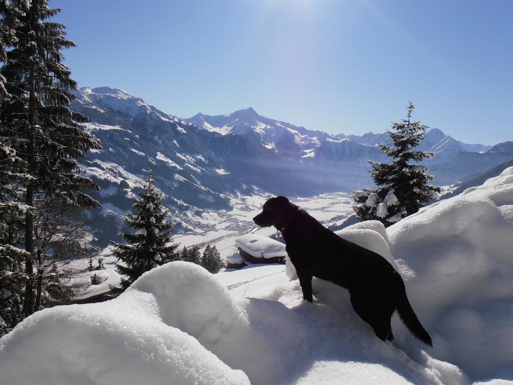Breierhof Apartman Zell am Ziller Kültér fotó